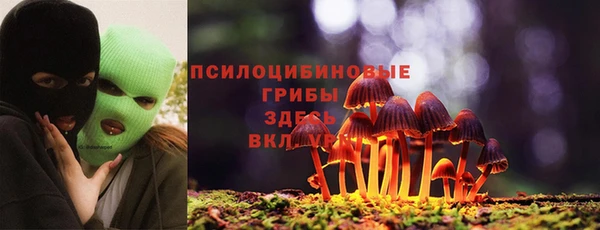 PSILOCYBIN Калининец