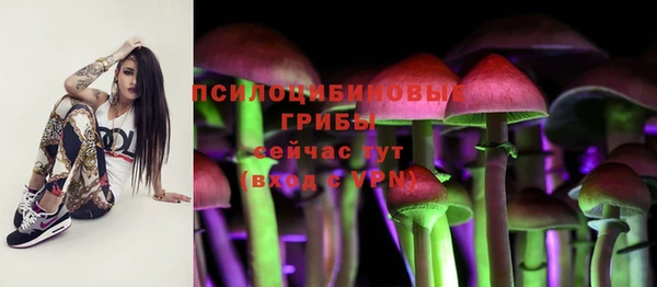 хмурый Каменка
