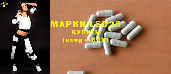 хмурый Каменка