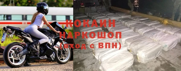 хмурый Каменка