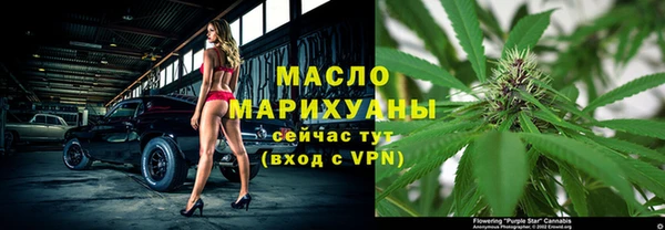 хмурый Каменка