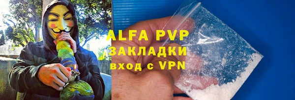 ГАЛЛЮЦИНОГЕННЫЕ ГРИБЫ Нестеровская
