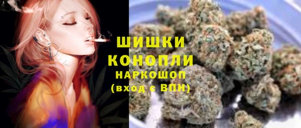 PSILOCYBIN Калининец