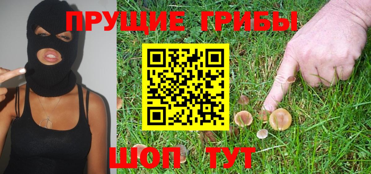 Псилоцибиновые грибы Cubensis Тутаев