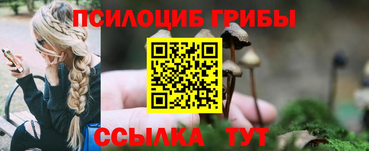 Тутаев  Псилоцибиновые грибы мицелий  Вход с VPN 